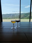 Dégustation avec vue sur la vallée du Douro