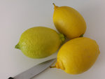 limon1.jpg