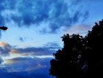 'automne 3L.jpg