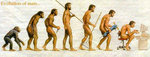 evolution-of-man.jpg