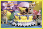 anniv léo.gif