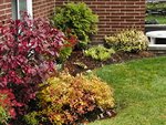 100_0317-750.jpg