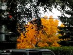 100_0316-802.jpg