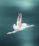 Swan Lake.jpg