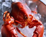 Homard.jpg