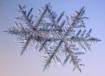 neige2étoiles.jpg