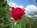 DSCN3459.JPG