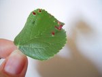 DSCN3512.JPG