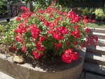 DSCN3507.JPG