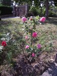 DSCN3508.JPG