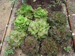 DSCN3917.JPG