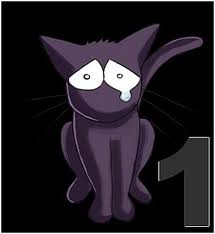 chat qui pleure.jpg