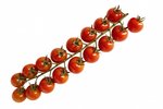 tomates raisin.jpg