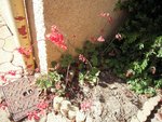 DSCN2684.JPG