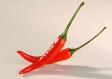 imagesCAYOW1P4.jpg
