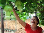 fruits de la passion.jpg