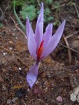 DSCN5948.JPG