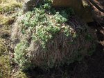 DSCN6303.JPG