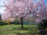 DSCN6541.JPG