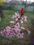 DSCN6551.JPG