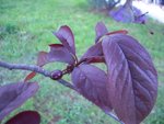DSCN6746.JPG