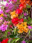 DSC02359.JPG