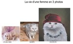 sans-titre 1.jpg