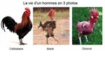 sans-titre 2.jpg