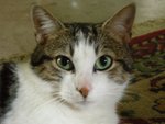Zouby 2 ans 1/2
