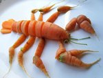 Langouste pas chère.jpg