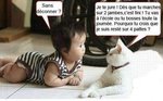 conseil de chat.jpg
