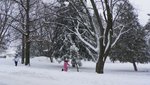 100_1102.JPG