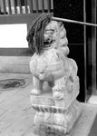 lion.jpg