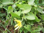 DSCN1519.JPG