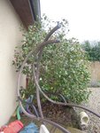 DSCN1533.JPG