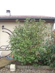 DSCN1534.JPG