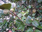 DSCN1535.JPG