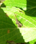 DSC_0120.jpg