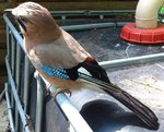 DSC_0150.jpg