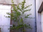 IMG_20130523_110039.jpg