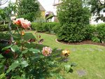 P1000103.JPG
