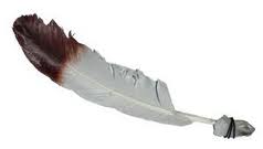 plume.jpg