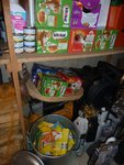 Epicerie à chats.JPG
