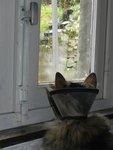 DSCN4446.JPG