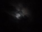 Moon light.jpg
