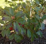 IMG_20140117_132034.jpg