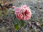 DSC03496.JPG