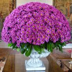 Bouquet1.jpg