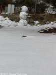 Hawaii snow man.jpg
