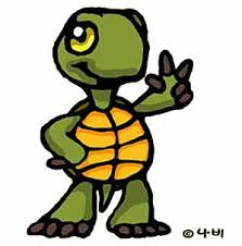Tortue.jpg